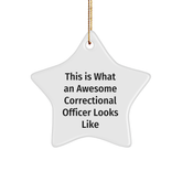 Correctional Officer Gifts, 'This Is What An Awesome Correctional Officer Looks Like', Star Ornament for Men, Women, Friends, and Family, Christmas Unique Gifts from Loved Ones - Image 1